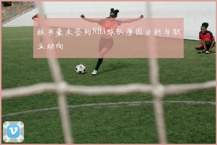 林书豪未签约NBA球队原因分析与职业动向