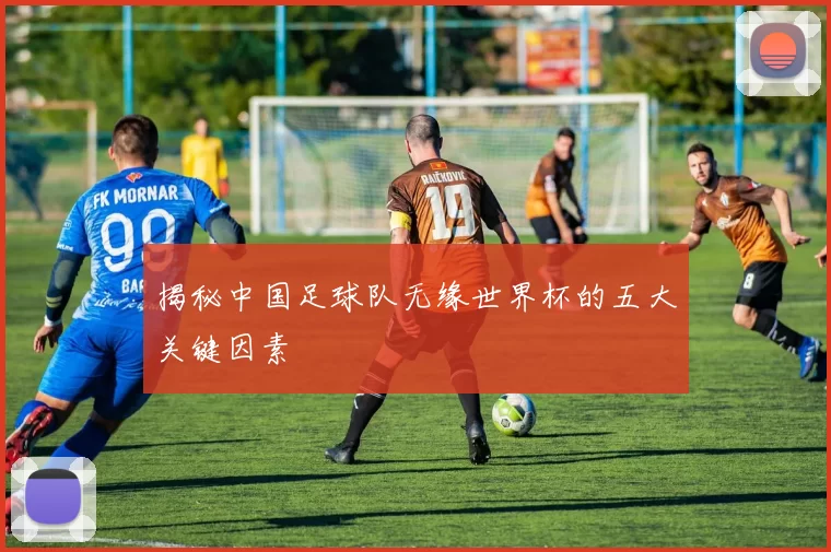 揭秘中国足球队无缘世界杯的五大关键因素