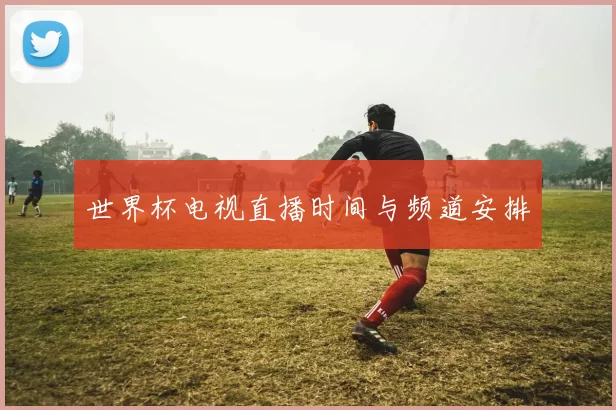 世界杯电视直播时间与频道安排