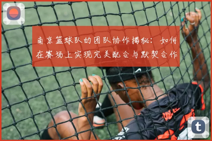 南京篮球队的团队协作揭秘：如何在赛场上实现完美配合与默契合作