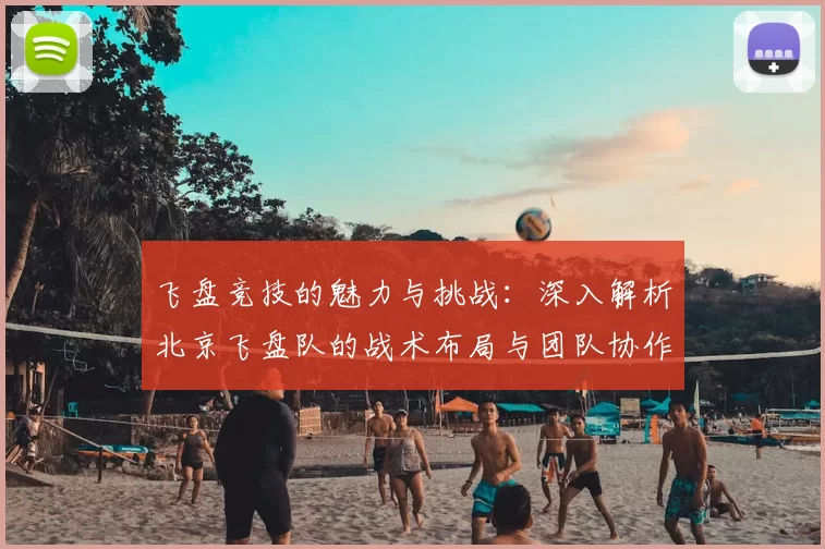 飞盘竞技的魅力与挑战:深入解析北京飞盘队的战术布局与团队协作