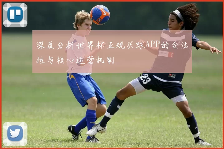 深度分析世界杯正规买球APP的合法性与核心运营机制