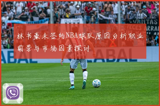 林书豪未签约NBA球队原因分析职业前景与市场因素探讨