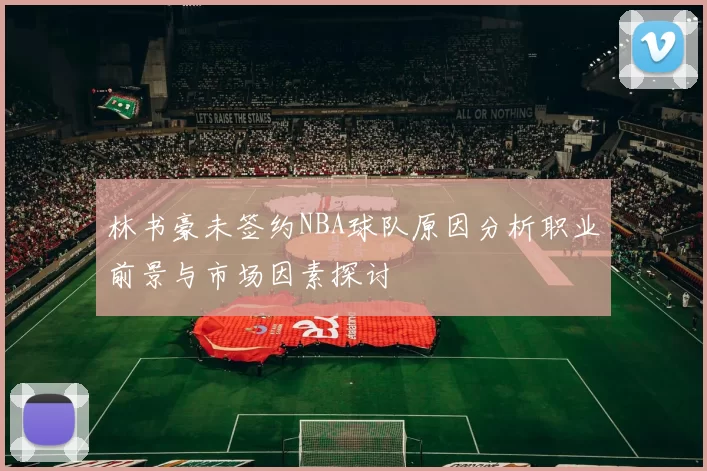 林书豪未签约NBA球队原因分析职业前景与市场因素探讨
