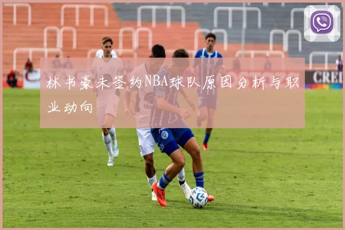 林书豪未签约NBA球队原因分析与职业动向