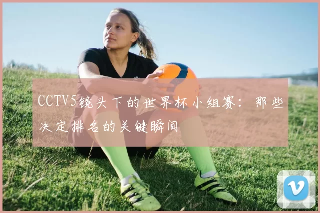 CCTV5镜头下的世界杯小组赛：那些决定排名的关键瞬间