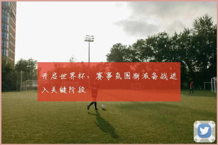 开启世界杯，赛事氛围渐浓备战进入关键阶段