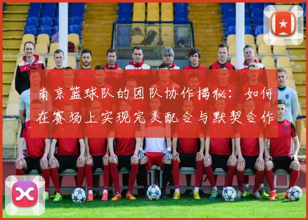 南京篮球队的团队协作揭秘：如何在赛场上实现完美配合与默契合作