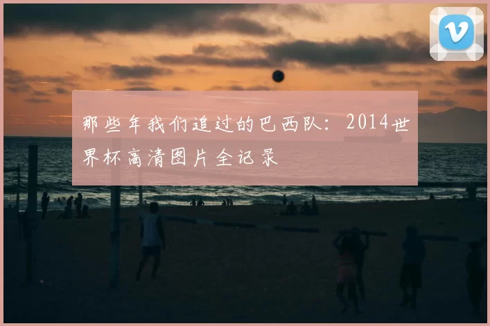 那些年我们追过的巴西队:2014世界杯高清图片全记录