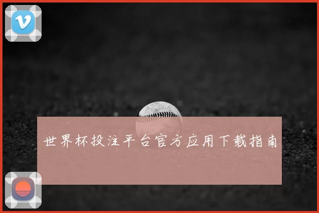 世界杯投注平台官方应用下载指南