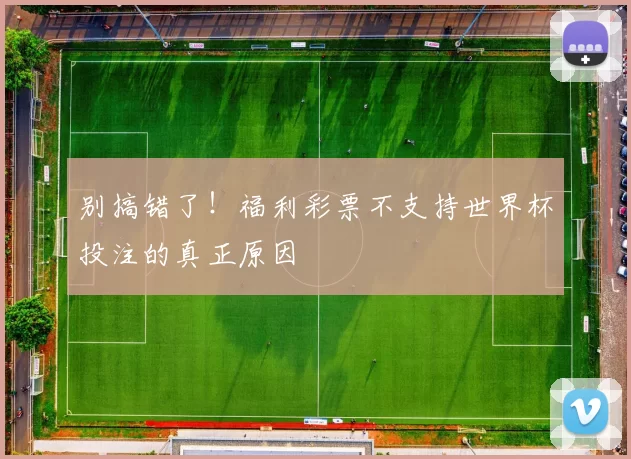 别搞错了!福利彩票不支持世界杯投注的真正原因
