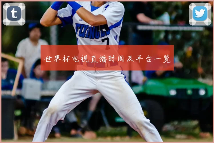 世界杯电视直播时间及平台一览